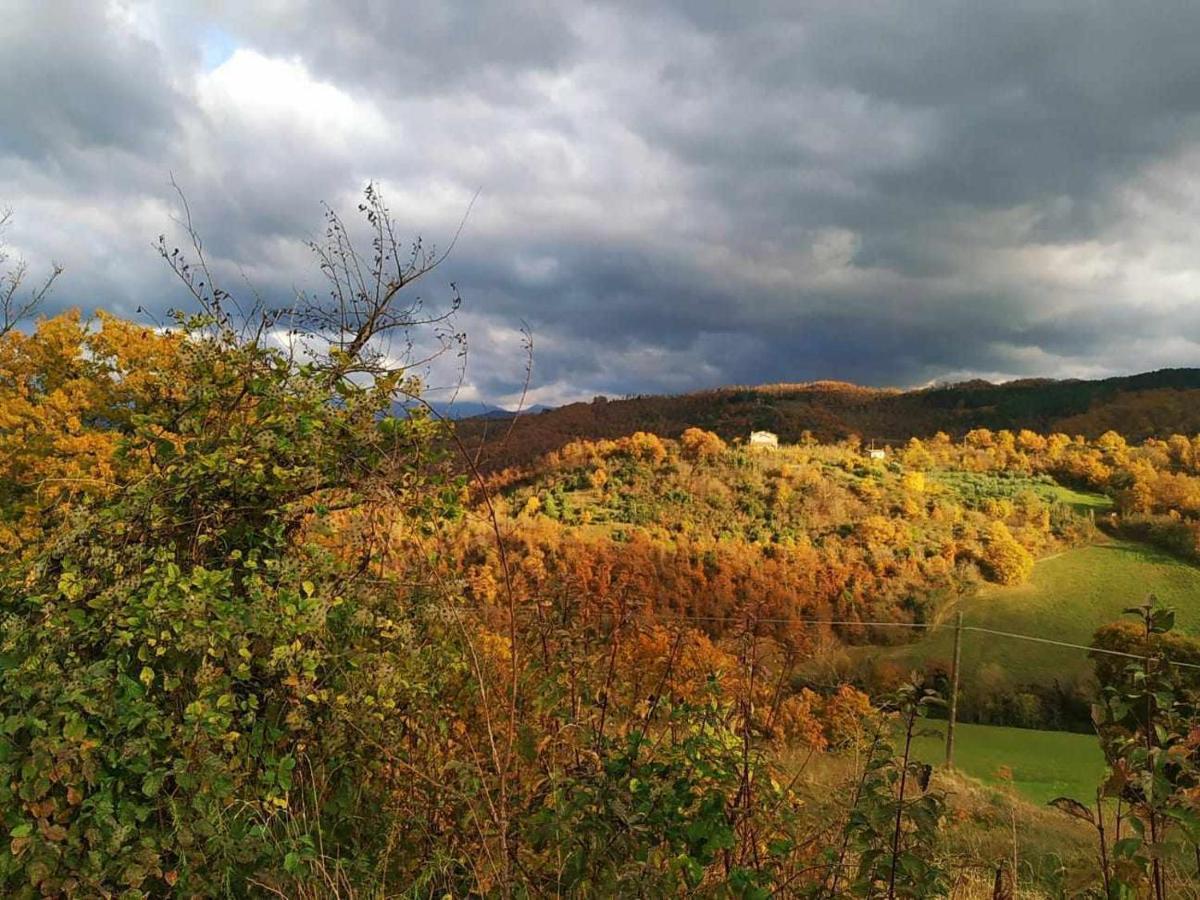 Agriturismo Montesalce Gubbio Buitenkant foto