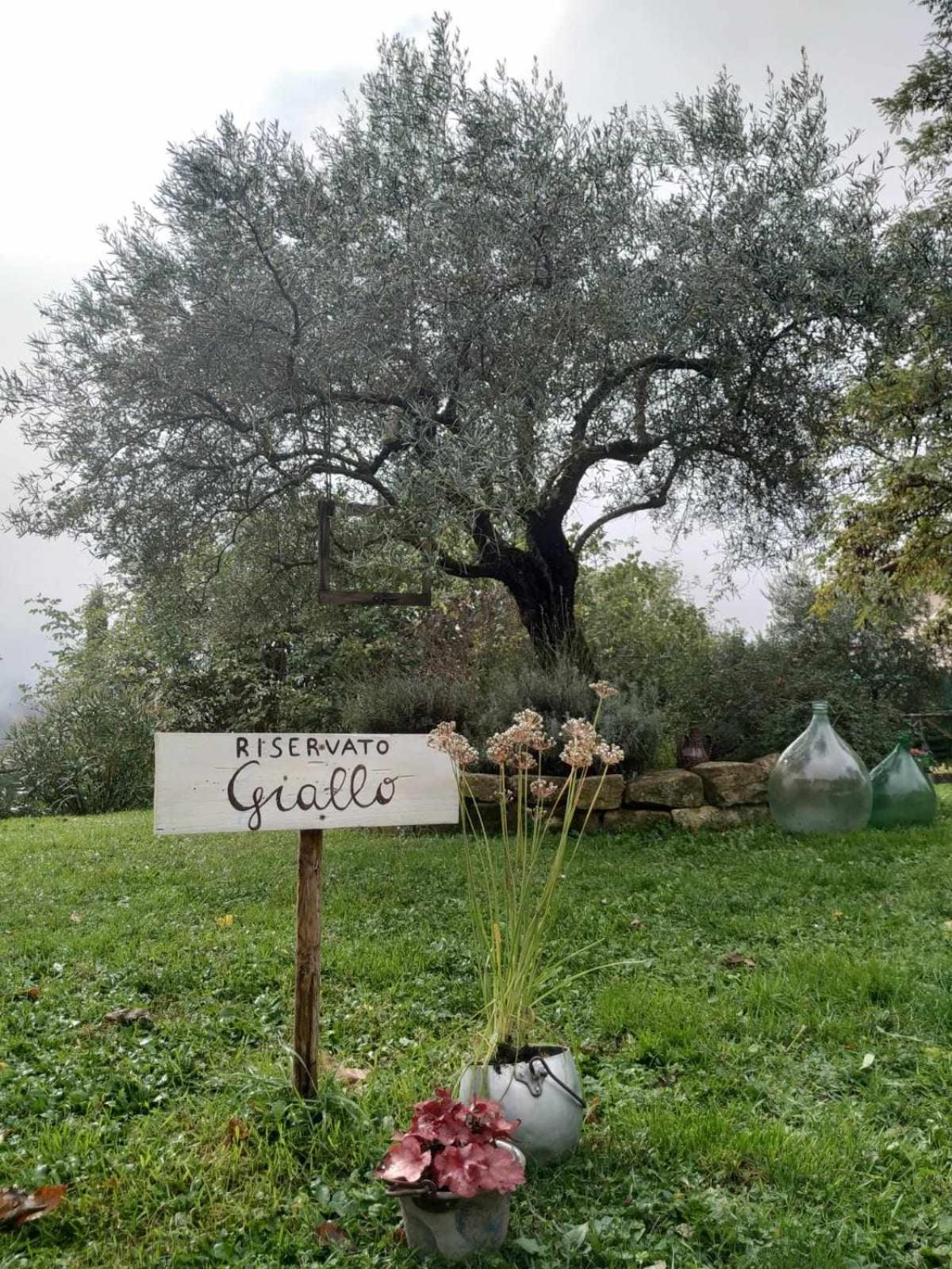 Agriturismo Montesalce Gubbio Buitenkant foto